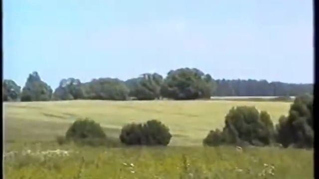 261208803981 Орловская область Залегощенский район Красненский с/с колхоз Родина смотреть онлайн