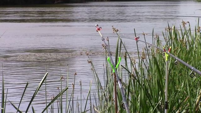 07_09_2022_.MP4-ОТРЫВОК ИЗ ВИДЕО ПРО ПОЕЗДКУ НА РЫБАЛКУ._ смотреть онлайн