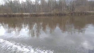Мотор хондекс 9.8 лодка прогресс прёт как танк