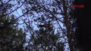 Своя охота. Весенняя охота на боровую дичь.