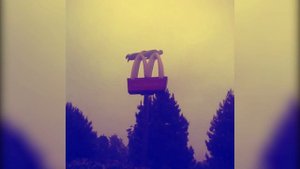 СПБ -  Две кореи