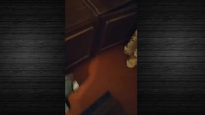 В гостях у ПОДЛИВЫ или СКОЛЬКО СТОИТ ШМОТ Ростика и Алёны ПОДЛИВЫ | Обзор Ярика