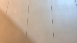 На гироскутере по торговому центру. ТРК ЛЕТО