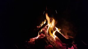 Огонь Футаж. Костёр в ночи