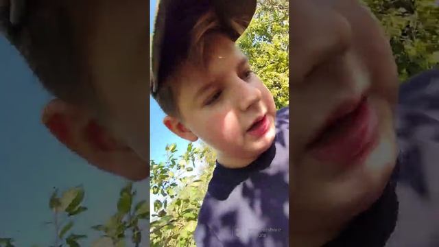 расчистка погреба или же из погреба в базу. 1 часть смотреть онлайн