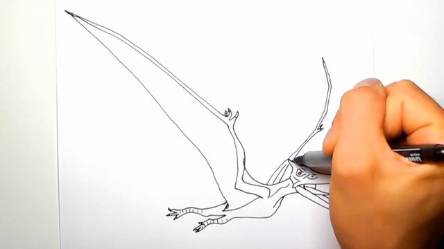 Drawing and Coloring Jurassic World Dinosaurs collection - How to Draw Color Dinosaurs for Children смотреть онлайн