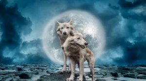 Убегу с Волками? [Running With The Wolves]