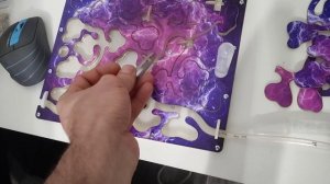 как переселить муравьев