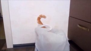 КОТИК и ВОЗДУШНЫЙ ШАРИК ))) / ПРИКОЛЫ ПРО КОТОВ /cat and balloon