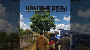 Песня Красные розы - НЕРОЯГИ, НЕЙРОКРУГ
