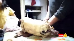 Гусиный фарш, для пельменей и котлет, очень вкусно ?