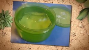 Удивительное растение алоэ. Полезные свойства  алоэ