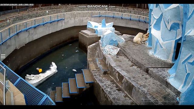 Обнимашки и поцелуйчики с мамой 21.04.2020 смотреть онлайн