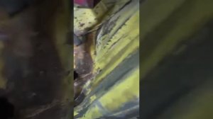 Мерседес вито. Ремонт днища.