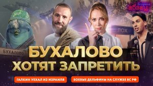Галкин* уехал из Израиля, Бухалово хотят запретить, боевые дельфины на службе ВС РФ