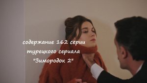 Содержание 162 серии (15 турецкая) второго сезона сериала "Зимородок" (РФ, 2023 / 2024)