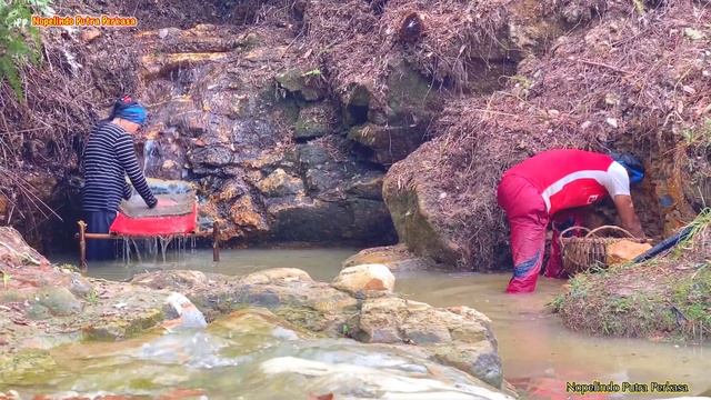 WONDERFUL INDONESIA,TEMUKAN HARTA KARUN SEJATI TUMPUKAN EMAS DI SUNGAI KALIMANTAN,GOLD HUNTER RIVER смотреть онлайн