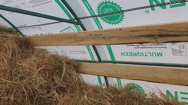 Обустройство теплицы под курятник завершено смотреть онлайн