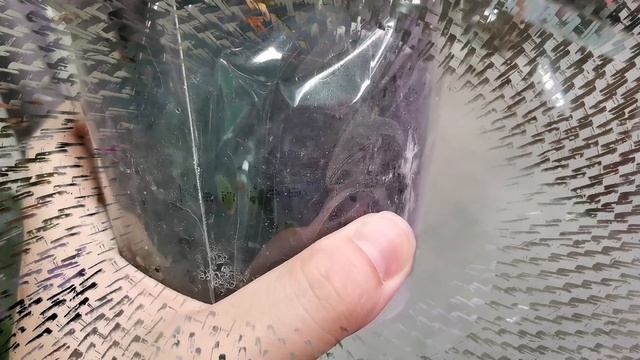 Контраст витрины и свежего завоза орхидей. Орхидеи с названиями в Леруа Мерлен г. Омск. смотреть онлайн