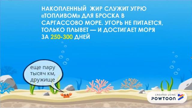 Угорь европейский 2 смотреть онлайн