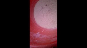 технопланктон своими руками.рецепт технопланктона.bighead silver carp fish bait.