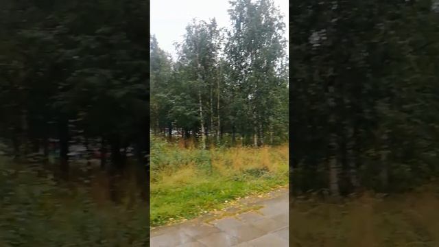 Дождь 3 сентября холодно до ужаса 3 градуса ветер