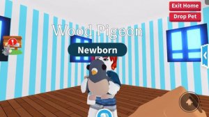 ПРОКАЧКА ИНВЕНТАРЯ ПОДПИСЧИЦЫ! С ОБЫЧНЫХ ПЕТОВ ДО КРУТЫХ ЛЕГ! | ROBLOX ADOPT ME Kroshka_Nastia