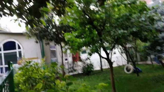 ФРУКТОВЫЕ САДЫ В ЦЕНРЕ МЕГАПОЛИСА! ???