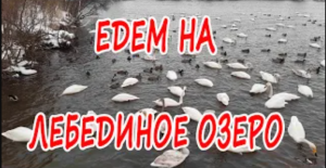 Поездка на Лебединое озеро