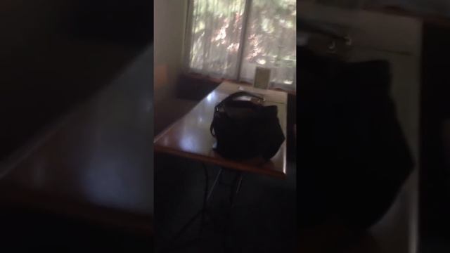 ОПГ "Белый Лотос" смотреть онлайн