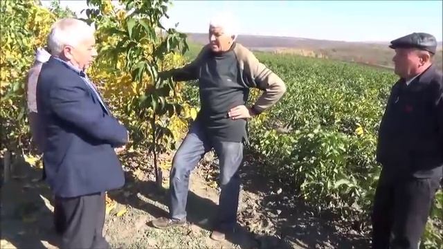 Обмен опытом с ООО "Опытное хозяйство Приднестровская станция садоводства". Октябрь 2018 смотреть онлайн