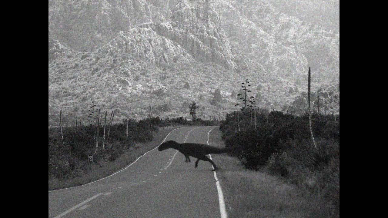 Белка на дороге. смотреть онлайн