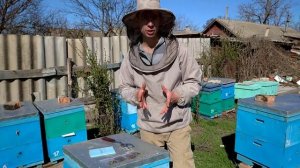 Пробы на паспорт пасеки. Сколько стоит?