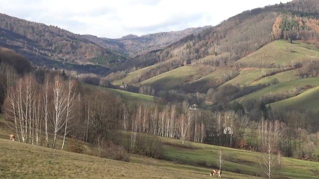 Притча о сиротах