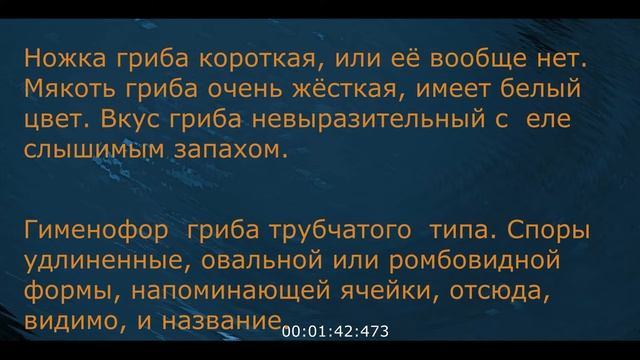 Трутовик ячеистый, Полипорус ячеистый Neofavolus alveolaris Видеоопределитель смотреть онлайн