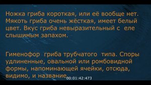 Трутовик ячеистый, Полипорус ячеистый Neofavolus alveolaris  Видеоопределитель