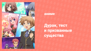 Дурак, тест и призванные существа спешл 4 (аниме-сериал, 2011)