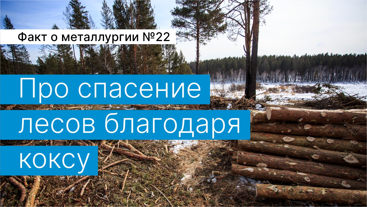 Факт о металлургии №22:
про спасение лесов благодаря коксу