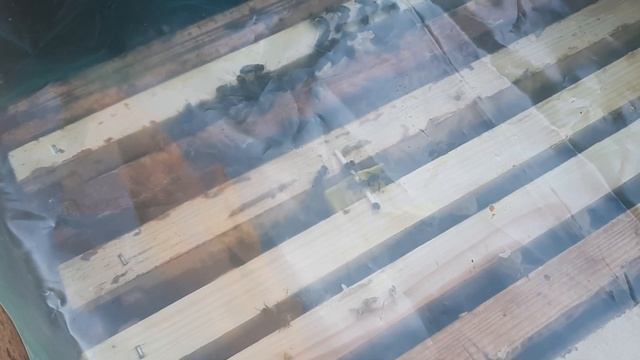 Подсадка островной . смотреть онлайн