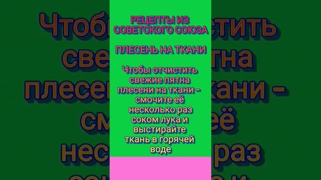 рецепты из Советского Союза: плесень на ткани #плесень