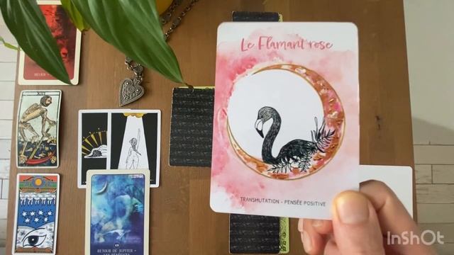 BÉLIER - Guidance Sentimentale - NOVEMBRE 2023: on tourne une page du passé pour évoluer en bien ❤️ смотреть онлайн