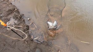 РЫБАЛКА НА ДОНКИ В АПРЕЛЕ.