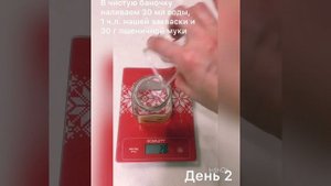 Инструкция по восстановлению сухой пшеничной закваски «Золотая Корка»