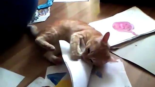 Игры рыжего кота смотреть онлайн