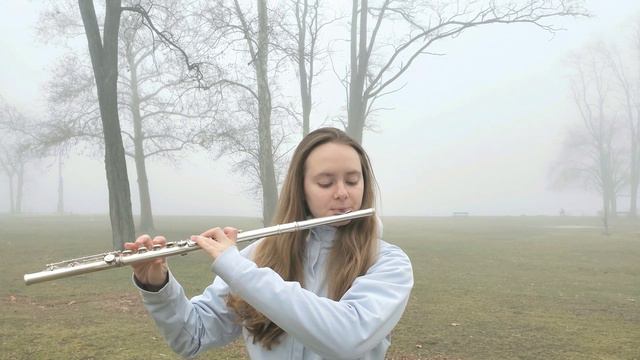 Happy New Year! Auld Lang Syne flute music смотреть онлайн