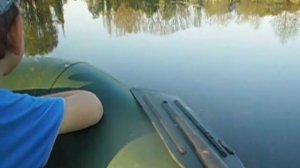 Бензокоса, мой S винт- незацепляйка  и заросшее болото