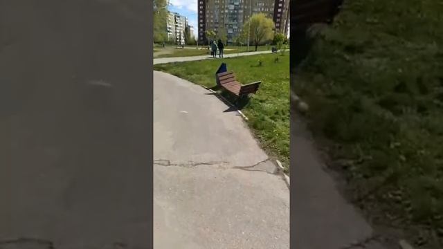 Парк Солнечный в Саратове