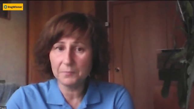 Как приучить щенка к туалету на улице? смотреть онлайн