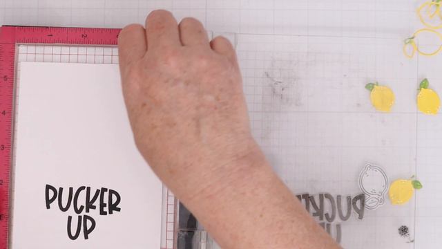 NEW Waffle Flower Fabulous Fruit Release смотреть онлайн