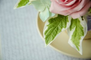 МК Дёрен белый из холодного фарфора